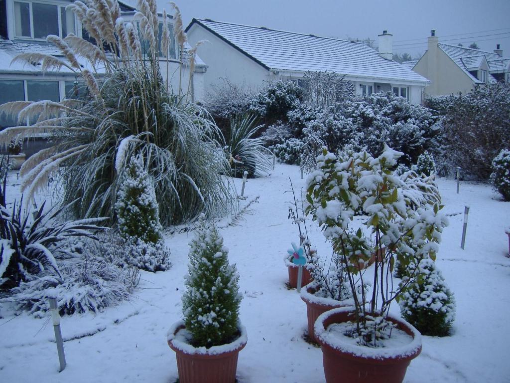 Springfield B&B Boreland of Colvend Εξωτερικό φωτογραφία