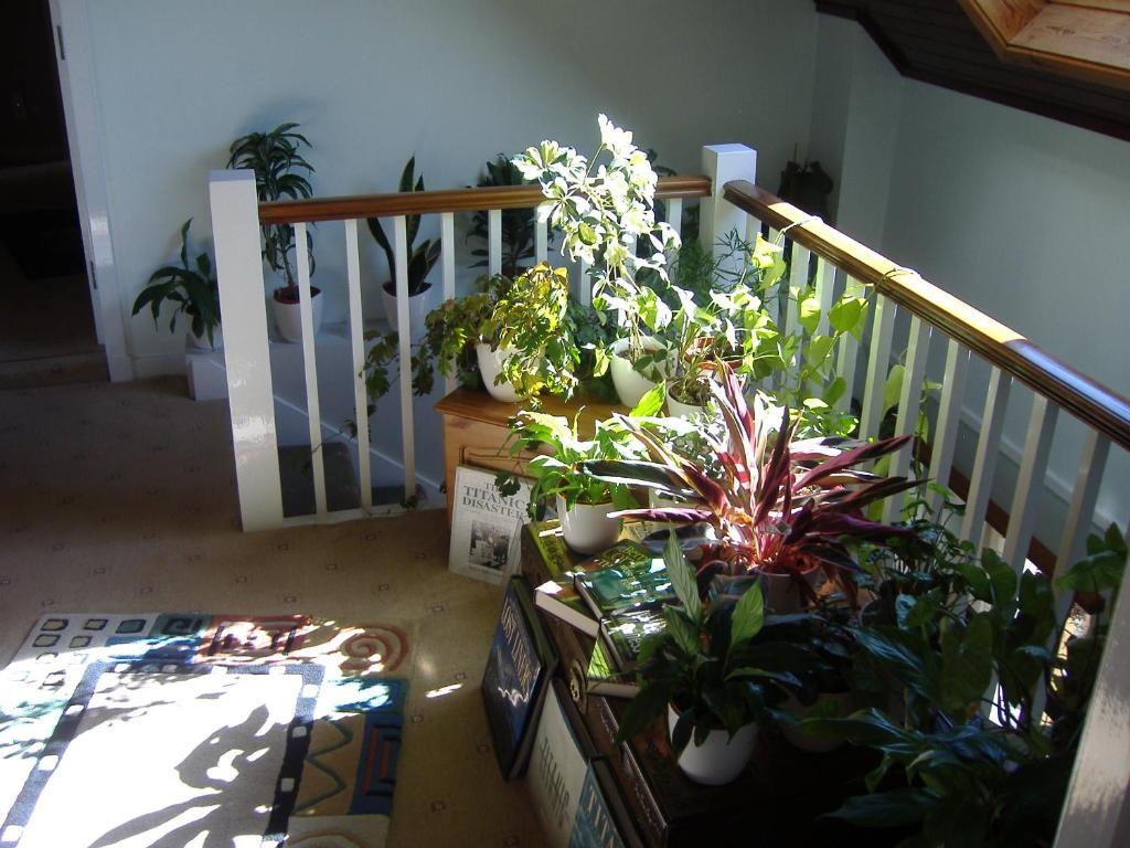 Springfield B&B Boreland of Colvend Εξωτερικό φωτογραφία